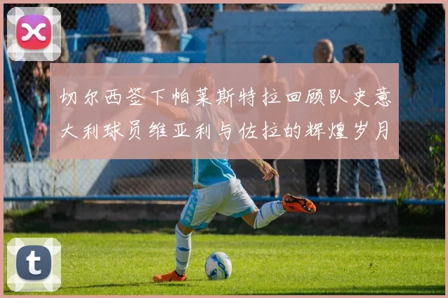 切尔西签下帕莱斯特拉回顾队史意大利球员维亚利与佐拉的辉煌岁月