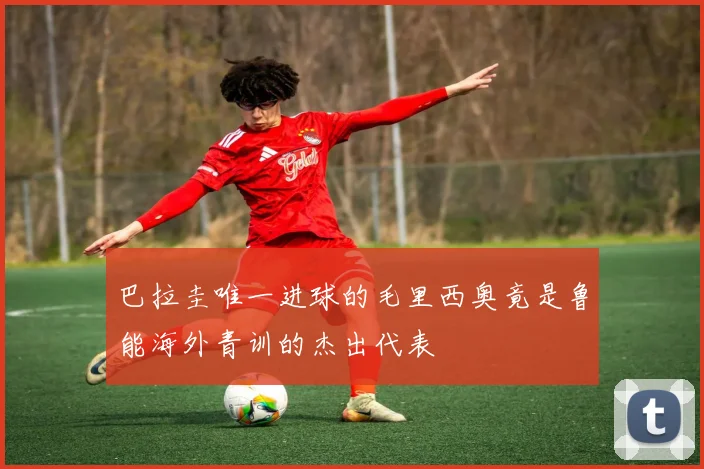巴拉圭唯一进球的毛里西奥竟是鲁能海外青训的杰出代表