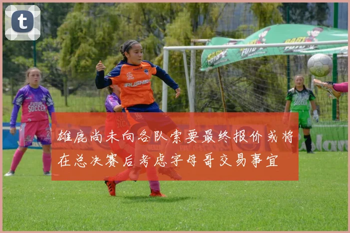 雄鹿尚未向各队索要最终报价或将在总决赛后考虑字母哥交易事宜